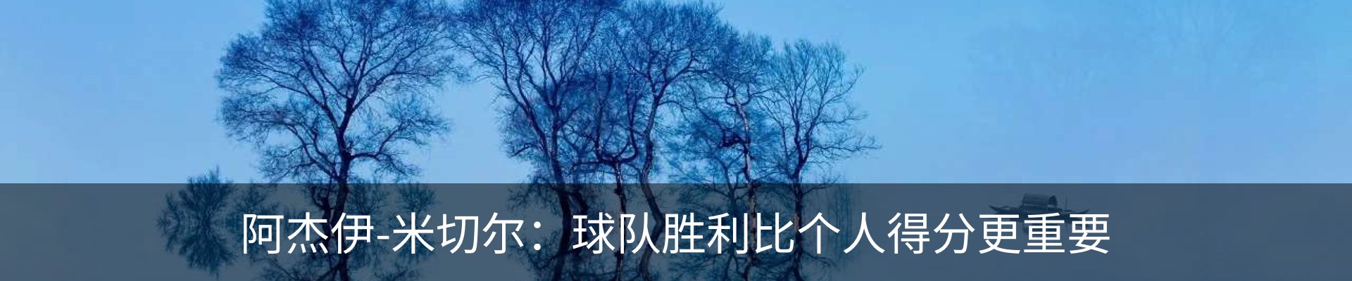 新闻动态